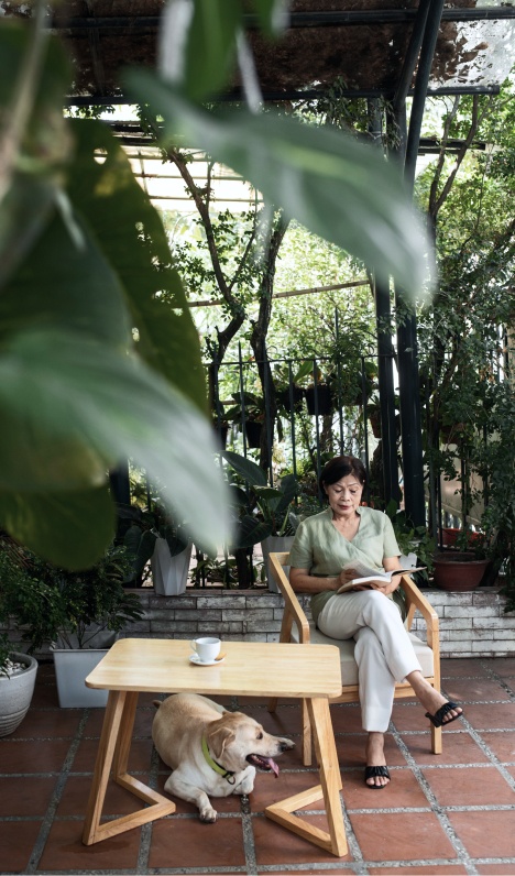 Curated Collections for Every Garden Style