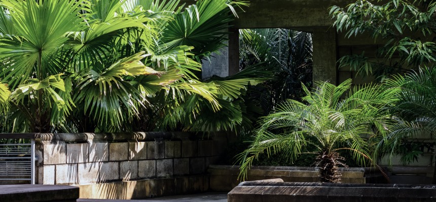 Creating a Garden That Feels Like a Sanctuary